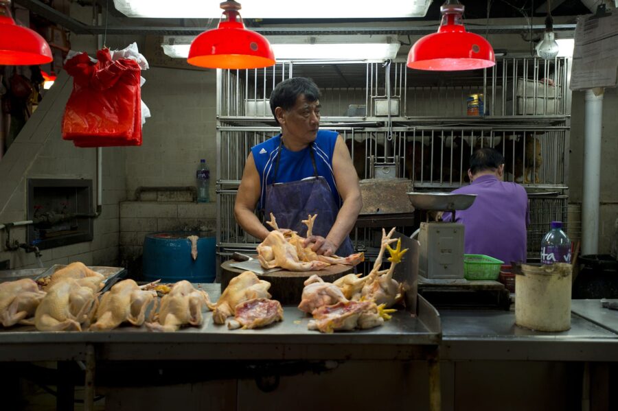 Mercado Rojo de Macao, un viaje gastronómico
