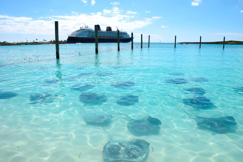 Playa de Castaway Cay con crucero Disney