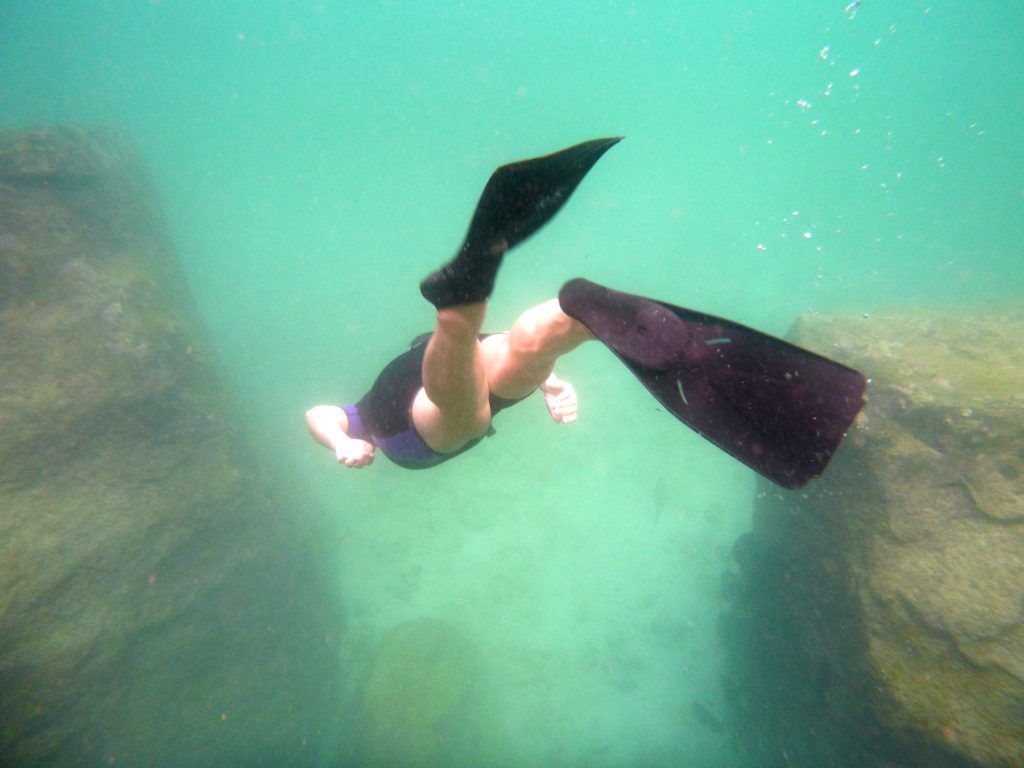 snorkel actividades acuaticas galapagos