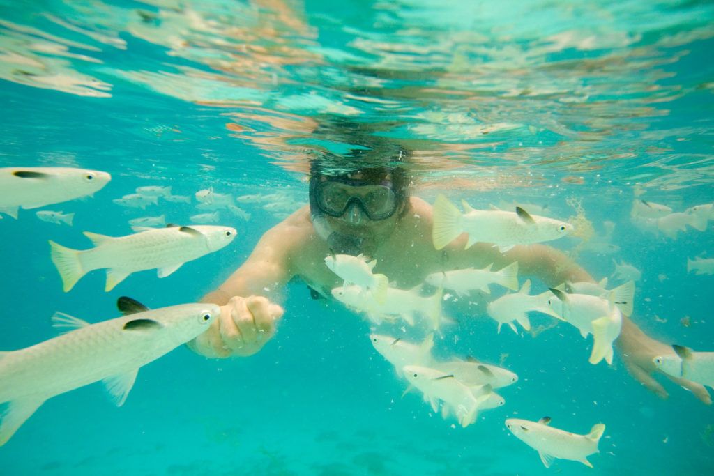 buceo o snorkel en maldivas