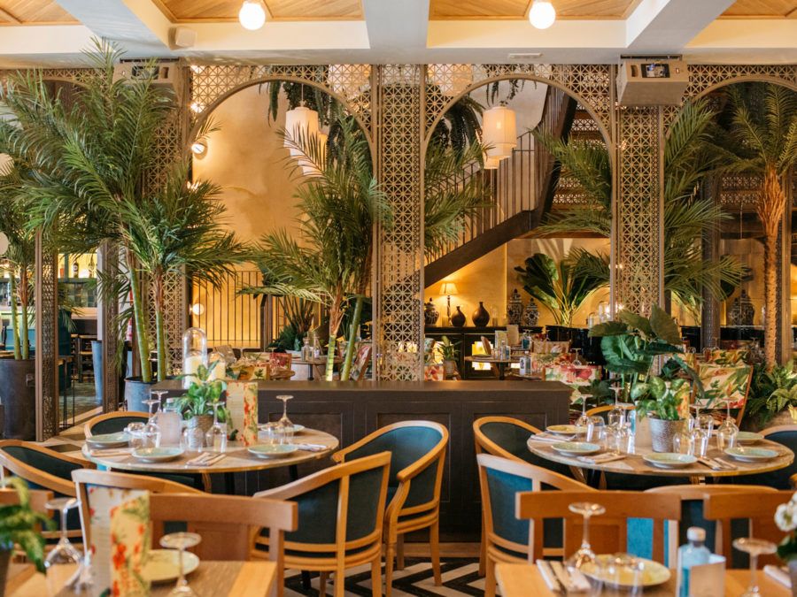 acogedor interior del restaurante habanera en madrid con palmeras y mobiliario de madera