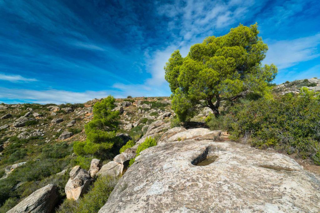 Tumbas del Saladar, Valle del Set, El Cogul, Les Garrigues, Lleida, Catalunya, Spain