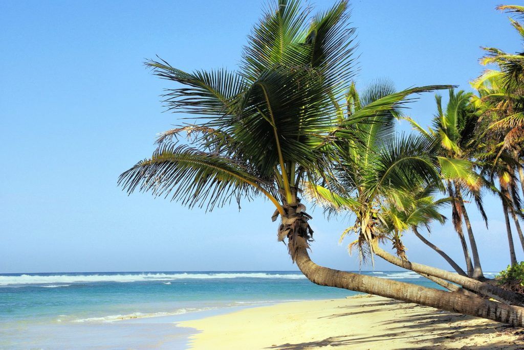 Una preciosa playa caribeña con palmeras ideal para disfrutar de Cuba con amigas