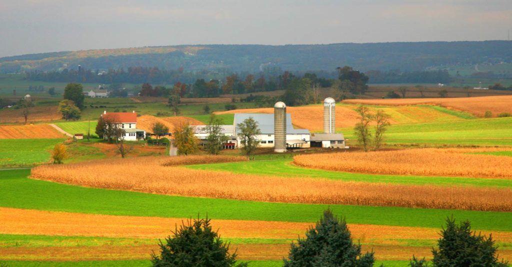 Los campos de Pensilvania, tierra de amish, presentan esta bonita acuarela multicolor.