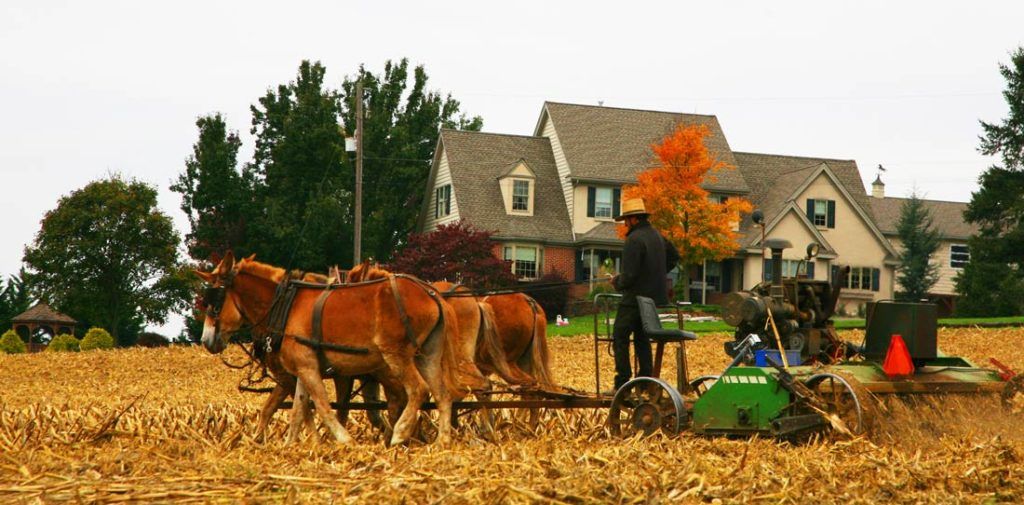 La comunidad Amish no permite la introducción de técnicas avanzadas en el campo.