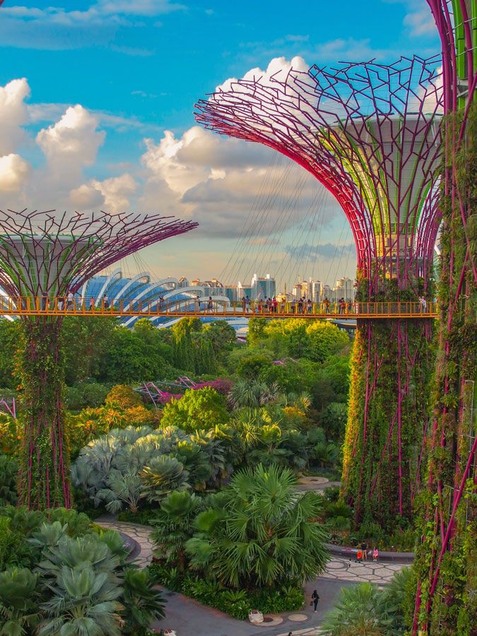 Los 'súper árboles' de Gardens by the Bay, en Singapur. 