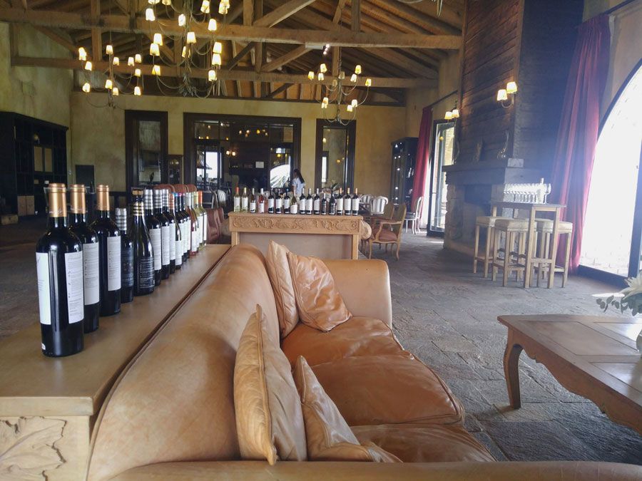 Botellas de vino y sofa en la bodega Andeluna