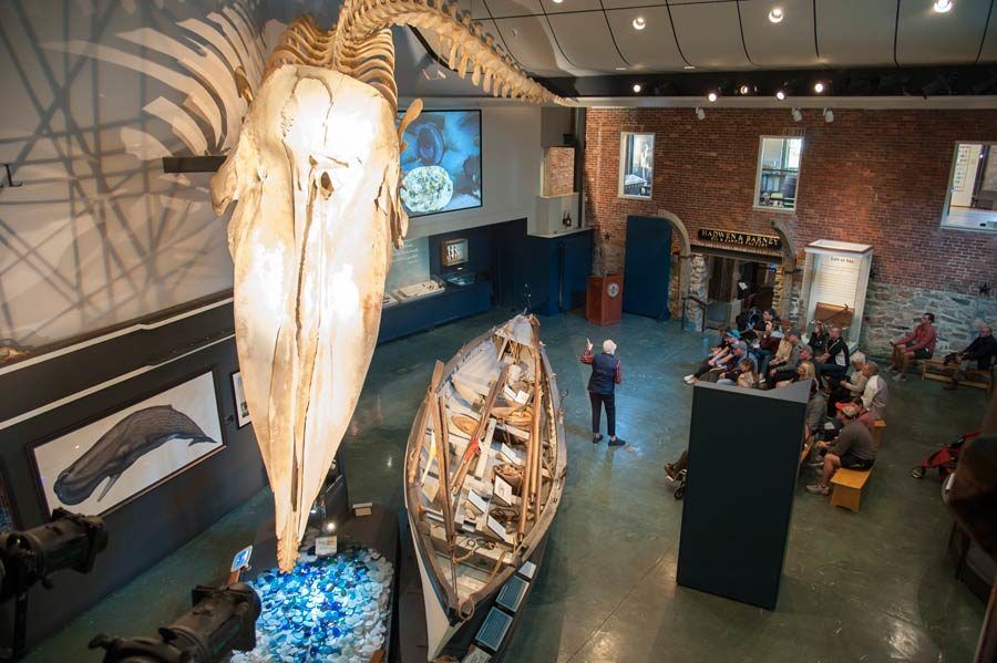 museo de las ballenas