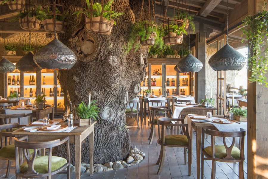 Restaurante Sull'Albero con un árbol en su interior