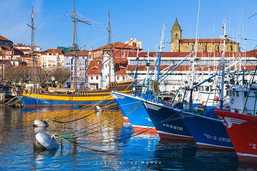 puerto de bermeo para ver cetaceos en la costa vasca