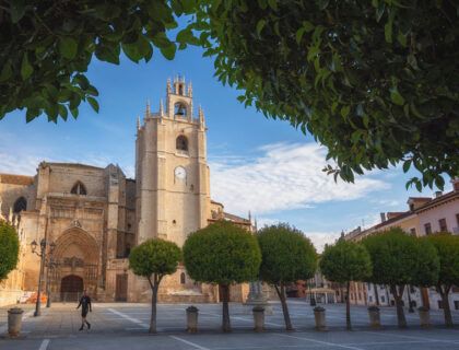 catedral de Palencia referente arquitectura palentina