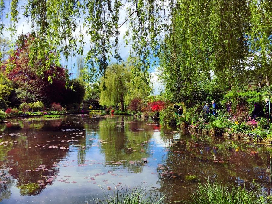 Jardín del Agua de Monet. 