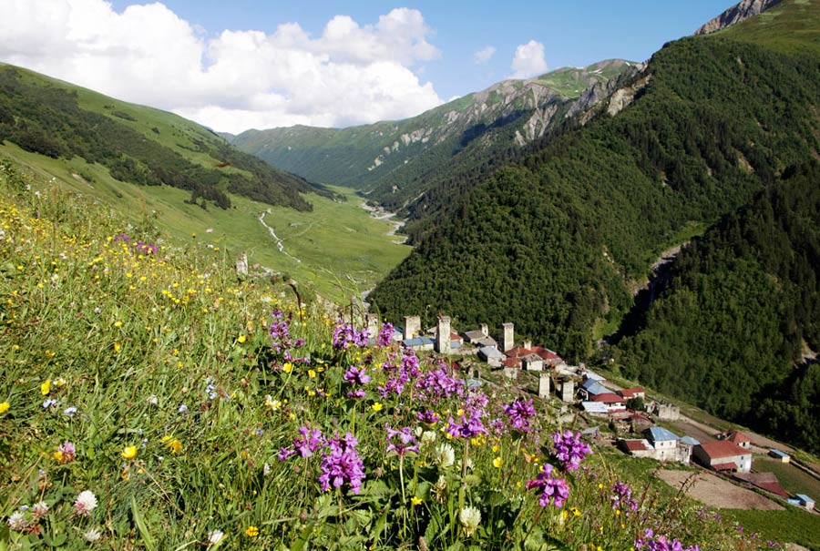 valle con flores georgia
