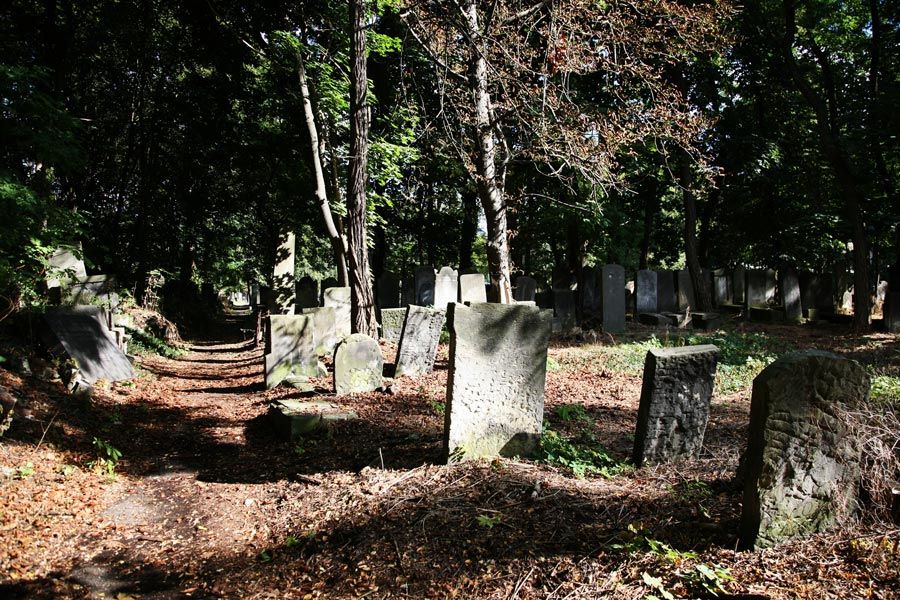 Cementerio Judio de Zydowski