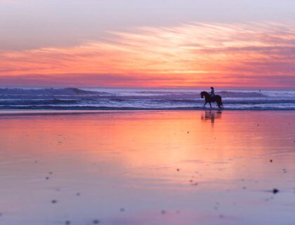 paseo caballo playa el palmar cadiz