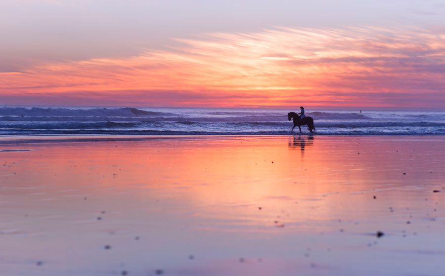 paseo caballo playa el palmar cadiz