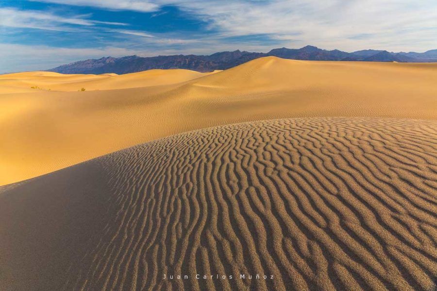 Dunas Mesquite en el desierto de Mojave