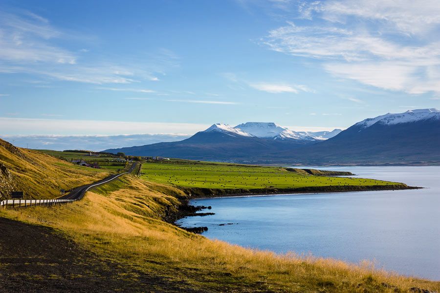 carretera circulo dorado islandia