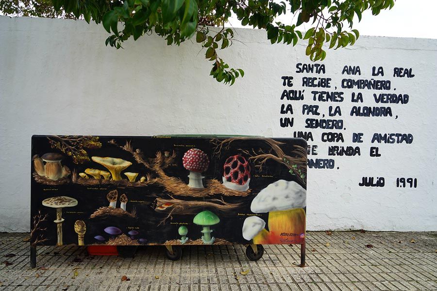 contenedor con grafitis pintados en el pueblo de santa ana la real