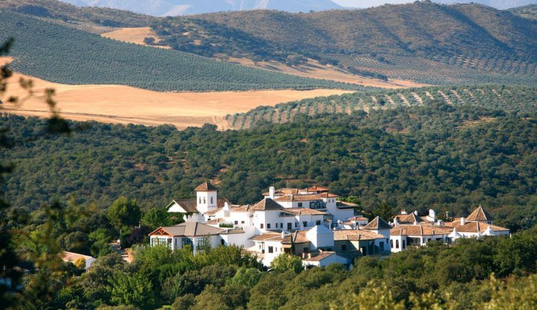 Hotel La Bobadilla rodeado de campos de olivos