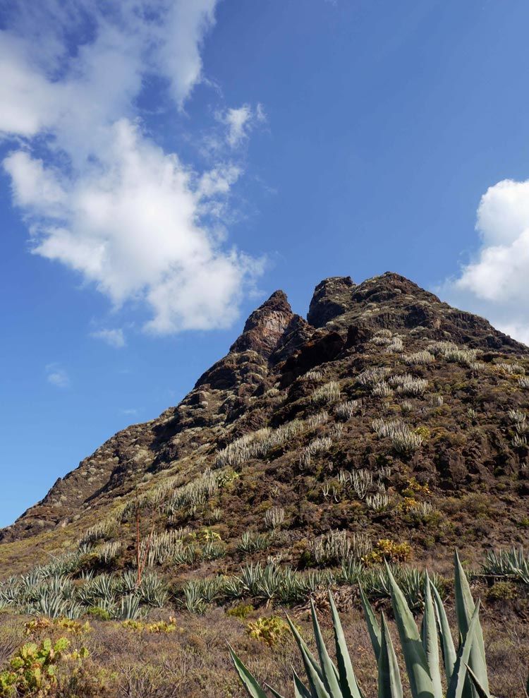 Montaña del Parque Rural de Anaga, en Tenerife.
