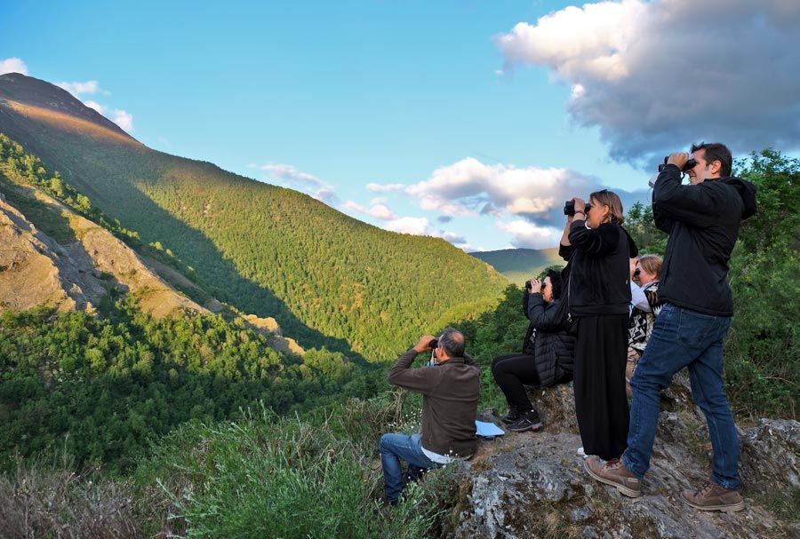 Grupo de turistas con prismáticos para ver osos pardos en Asturias