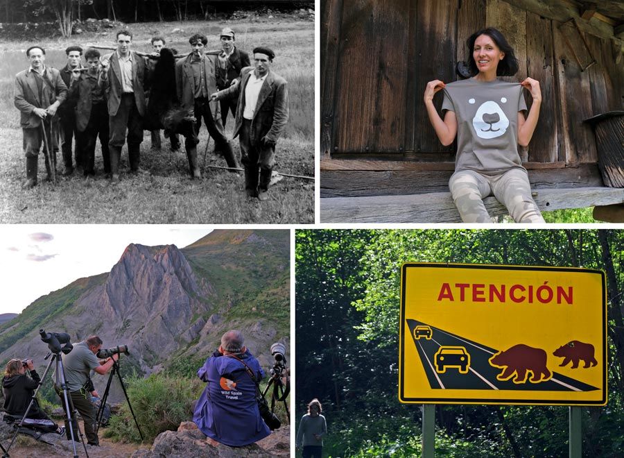 Cuatro imágenes de cazadores de osos, camiseta de oso, señalización y safari fotográfico