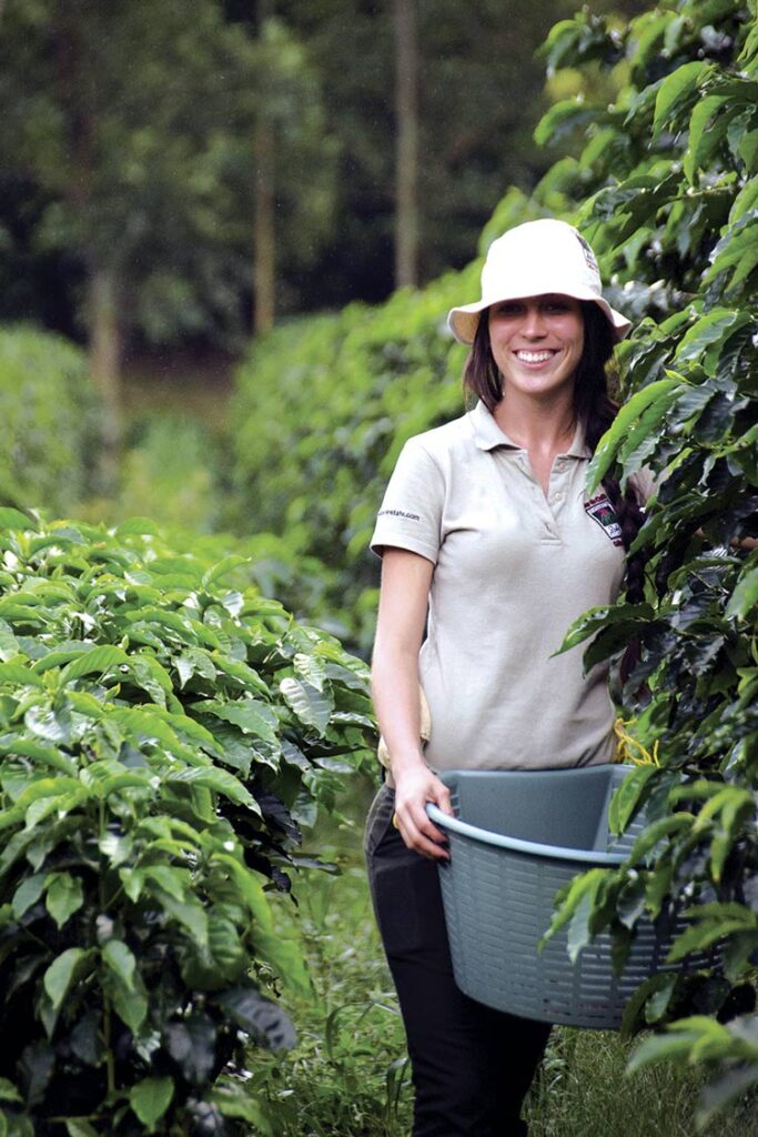 Plantación de café en Costa Rica.