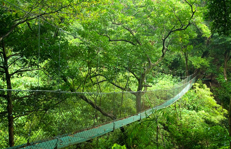 Estación Biológica La Selva, en Sarapiquí 
