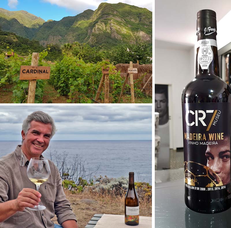 Variedades de uva, vino CR7 y Marco Noronha, propietario de Bodega Terra Bona.