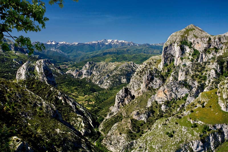 Desfiladero de la Hermida, en los Picos de Europa (Cantabria).