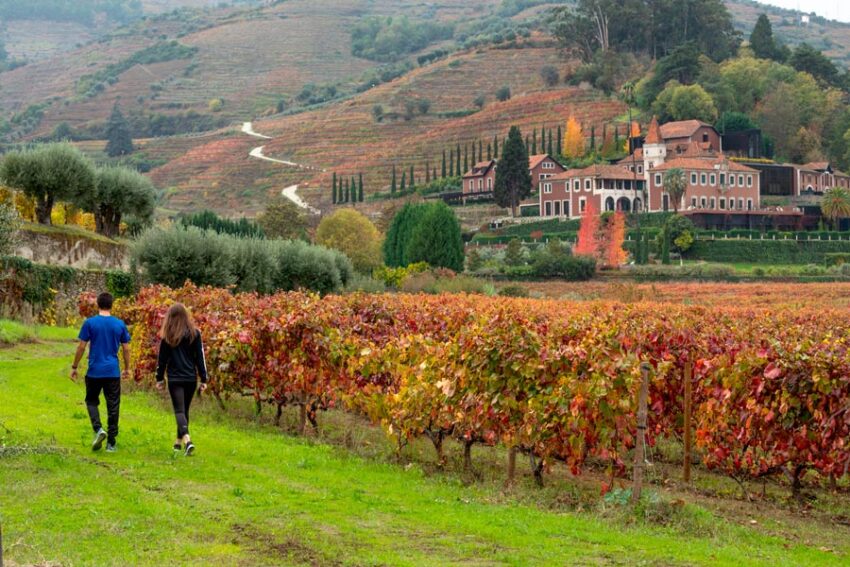 Six Senses Douro Valley, un universo para los amantes del vino