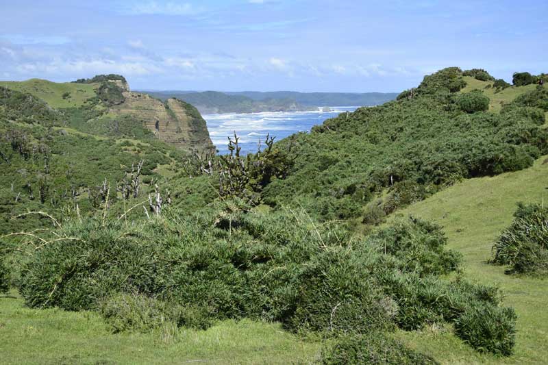 Paisaje en la isla principal del archipiélago de la isla de Chiloé. 