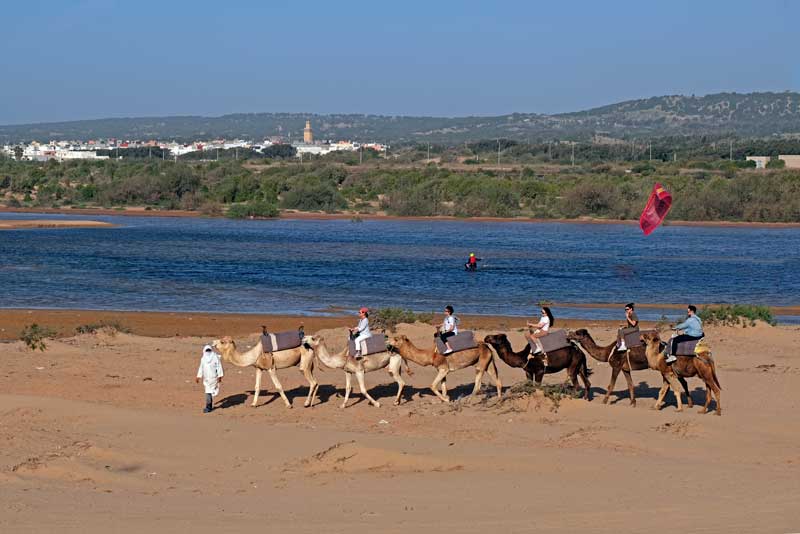 Paseo en camello y kitesurf en Esauira.