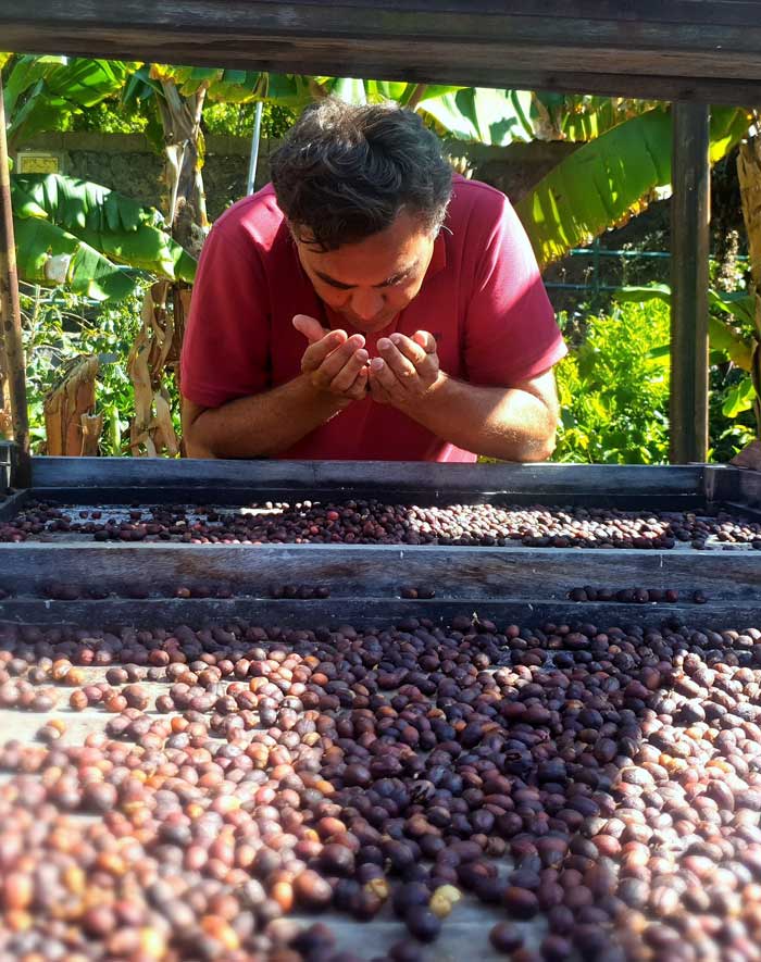 Hombre oliendo granos de café en Gran Canaria