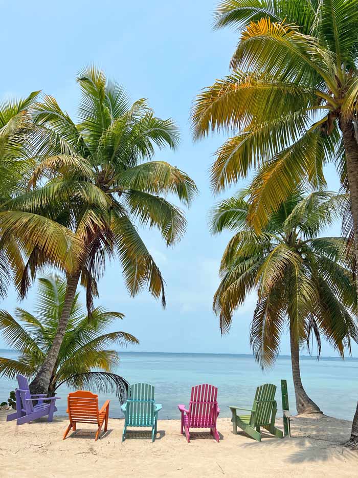 sillas en South West Caye Marine Reserve