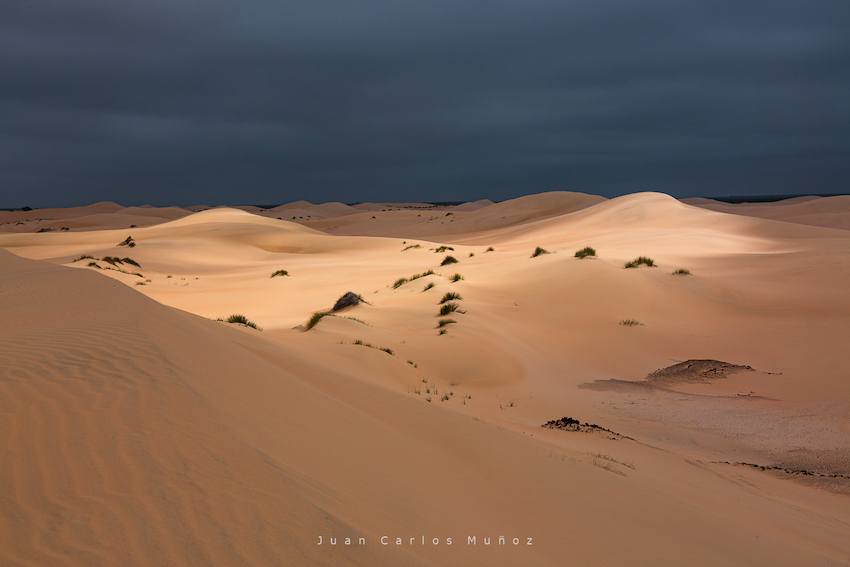 Desierto The Dunes.