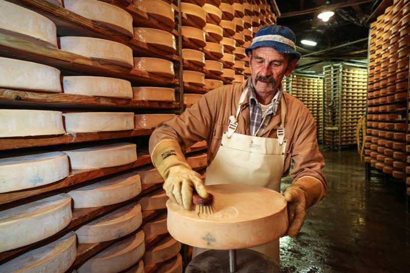 Productor del queso Fontina DOP en el Valle de Aosta. 