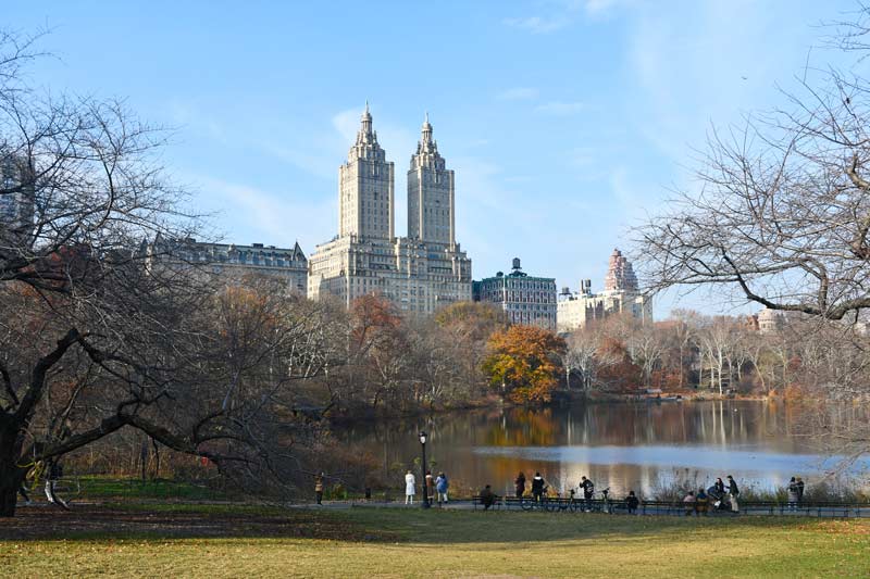 Central Park en invierno. 