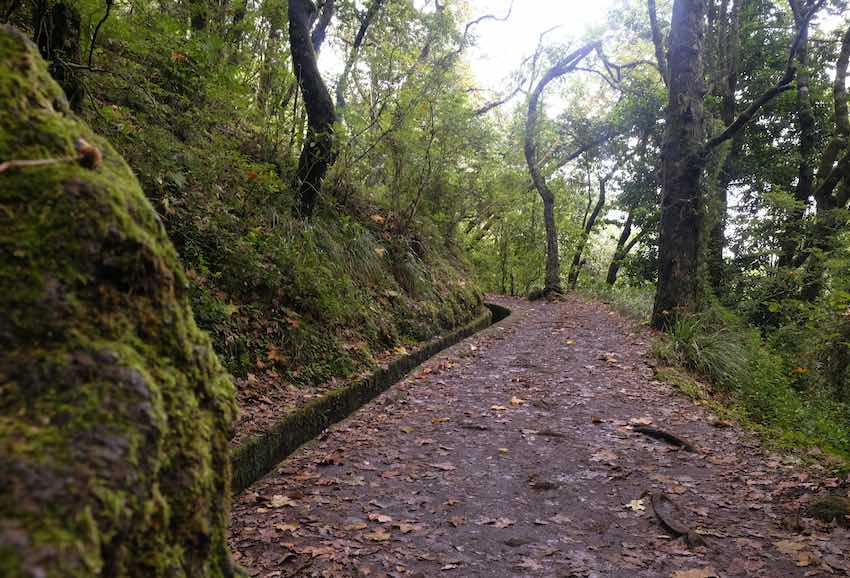 Ruta senderista por una levada en Madeira. 
