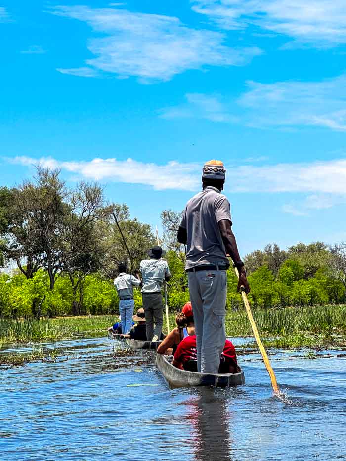 Safari en mokoro en el delta del Okavango. 