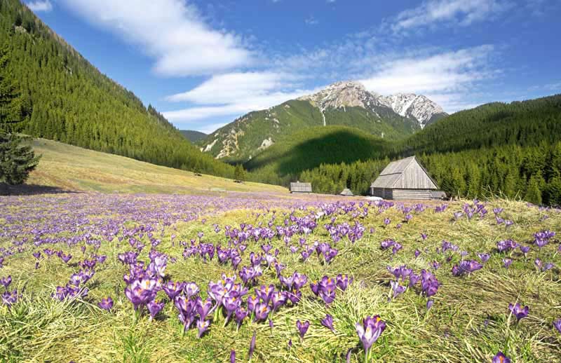 Los Montes Tatra en primavera. 
