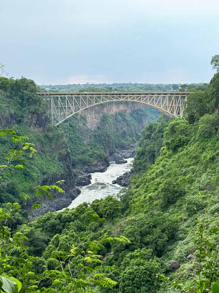 Puente de Victoria Falls. 