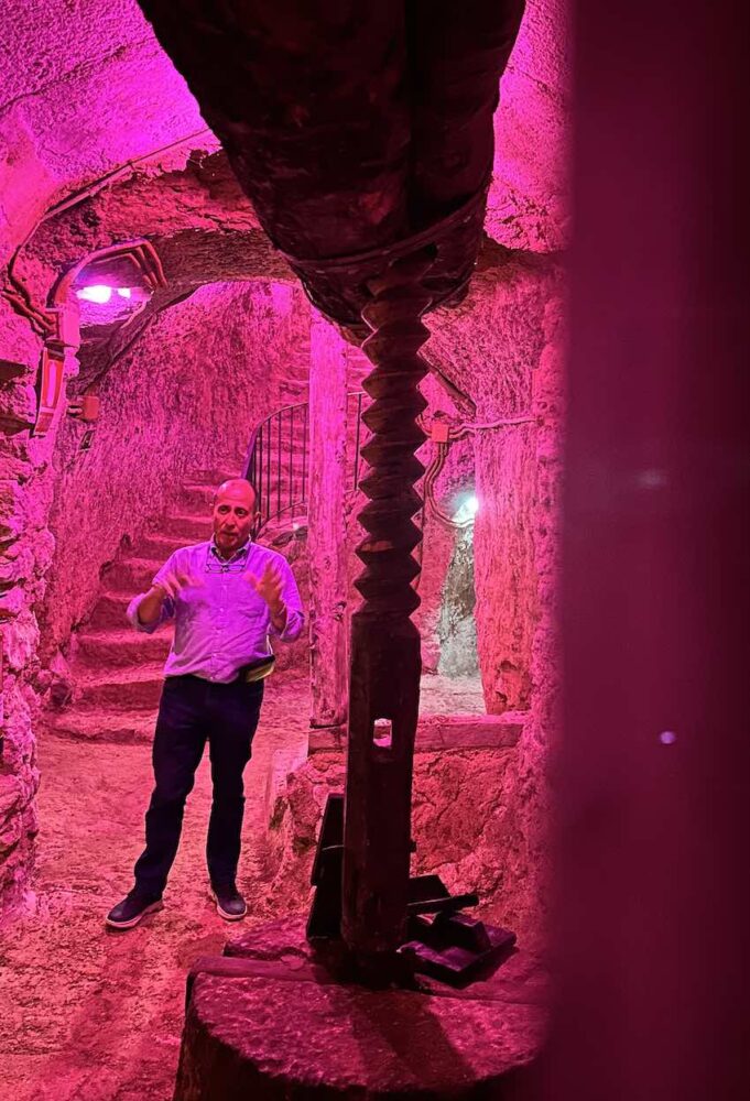 Juan Carlos Prieto Tovar en el interior de la Bodega Histórica bajo focos de color rosa.