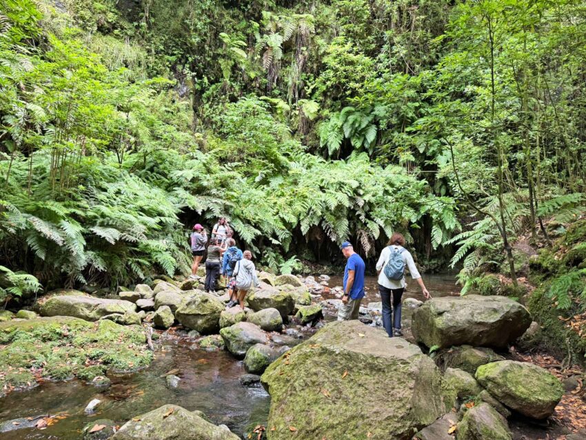 Ribeira do Bonito en Madeira