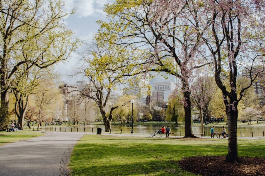 Boston Common. 