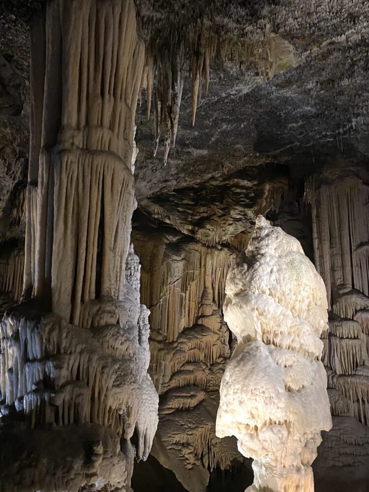 cueva de Postojna. 