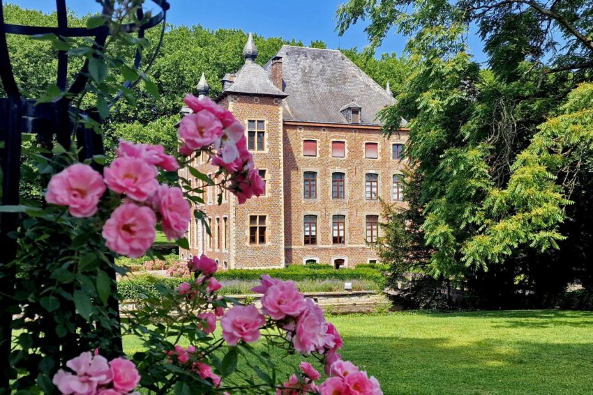 Jardín de rosas en el castillo de Coloma. 