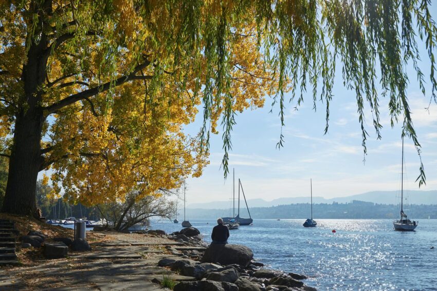 Ribera del lago de Zúrich.