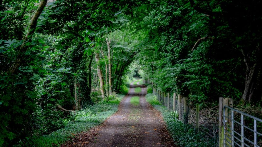Senderos locales de Tipperary